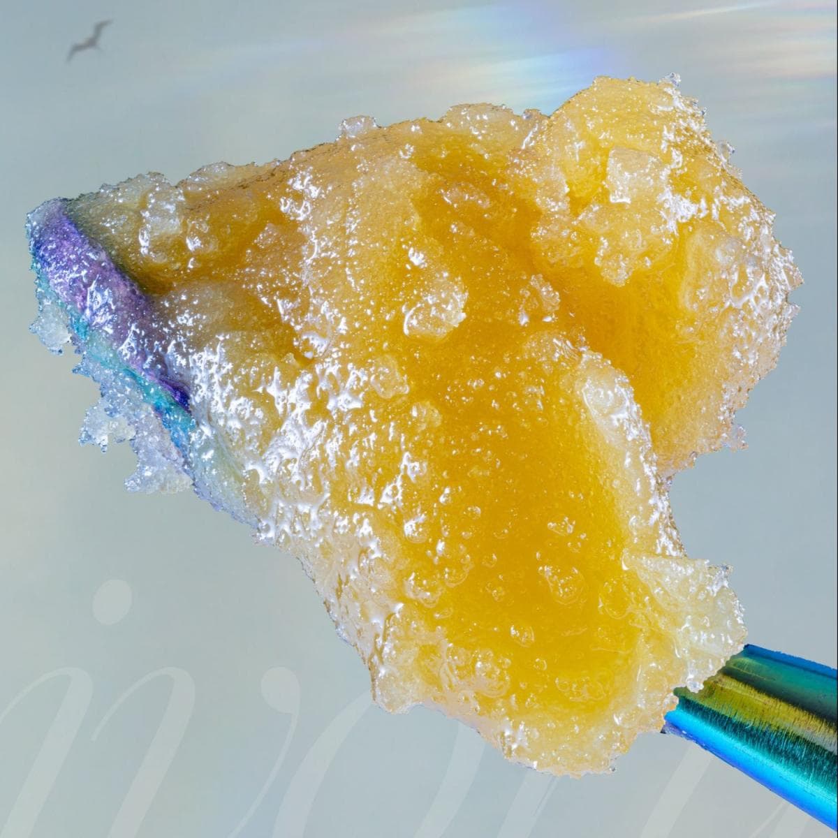Ivory Triangle Kush | Live Resin Sugar | 1g