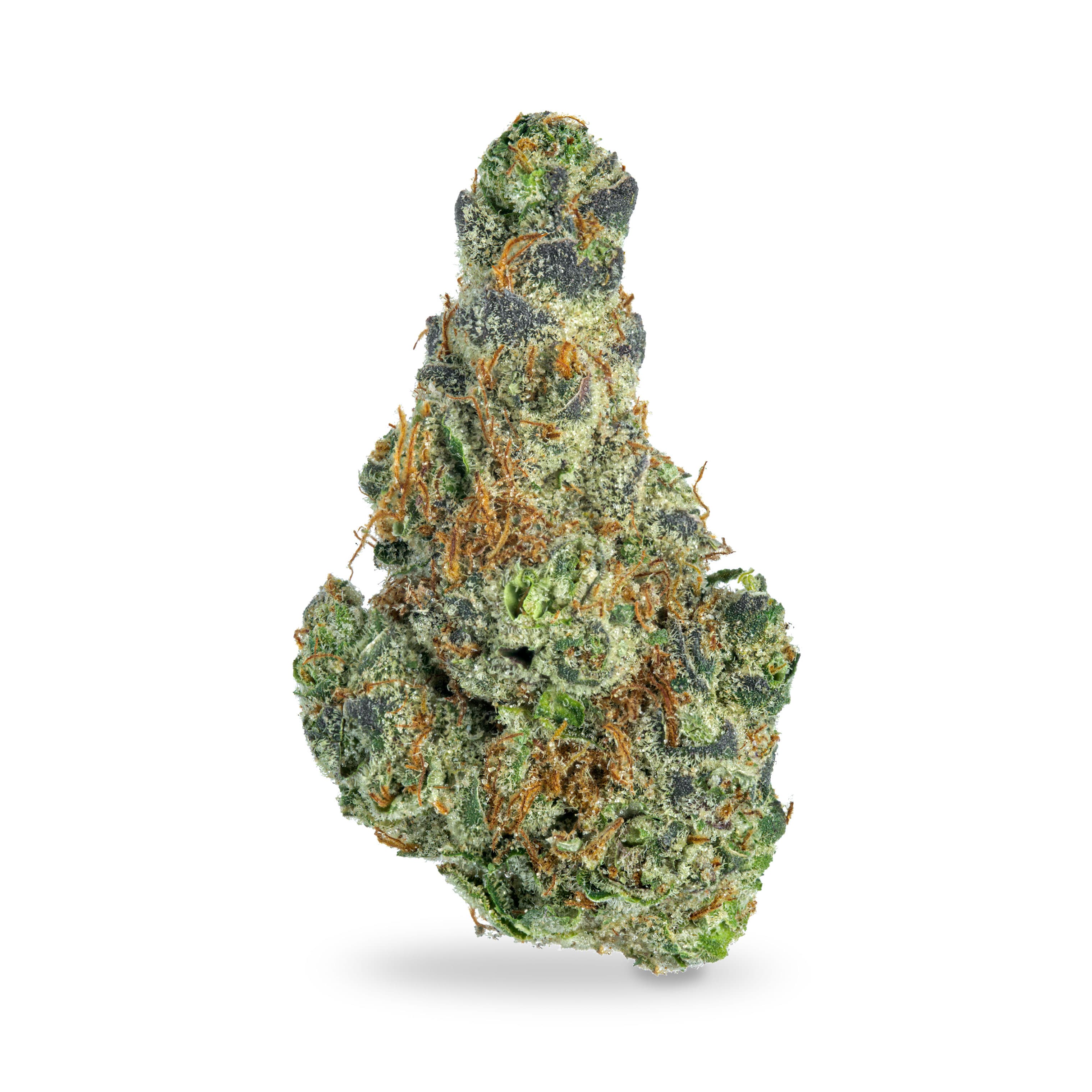 Chaaya Cannabis GMO