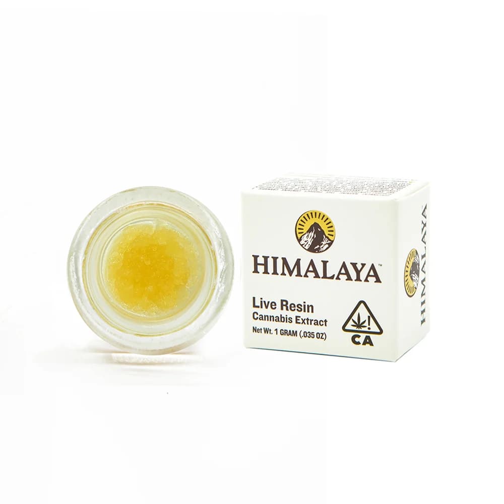 Himalaya ORANGE MALT 1G LIVE RESIN TERP SAUCE