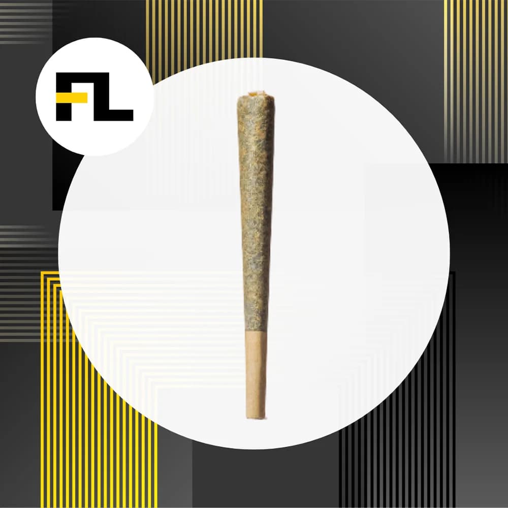 FLUENT Flower Blueberry Cupcake Full Flower [1g]