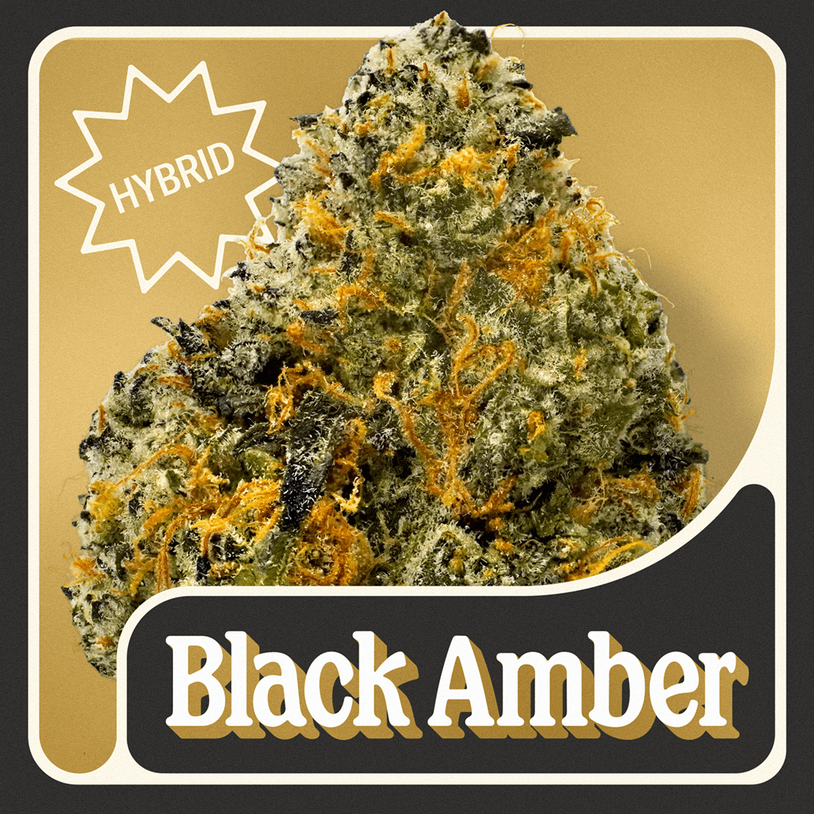 The Goods Black Amber | Hybrid | [3.5g]