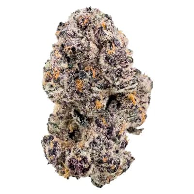 BLKMKT Hell's Kitchen (Britscotti x Devil's Driver) | 14g