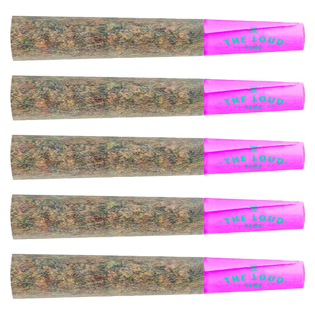 The Loud Plug