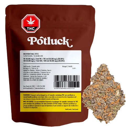 Potluck