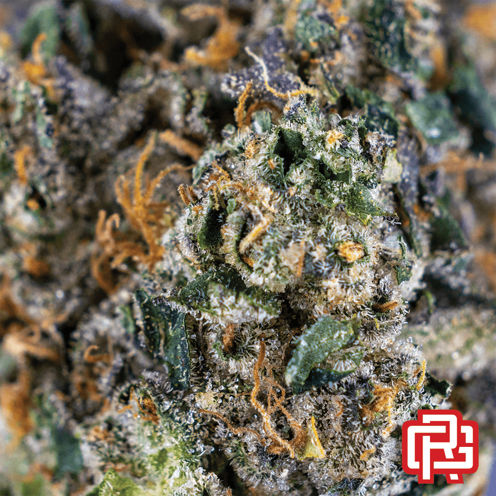 Rosebud Growers Cherry Fuel Flower Special | Rosebud