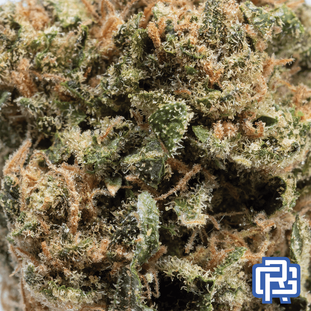 sofresh farms