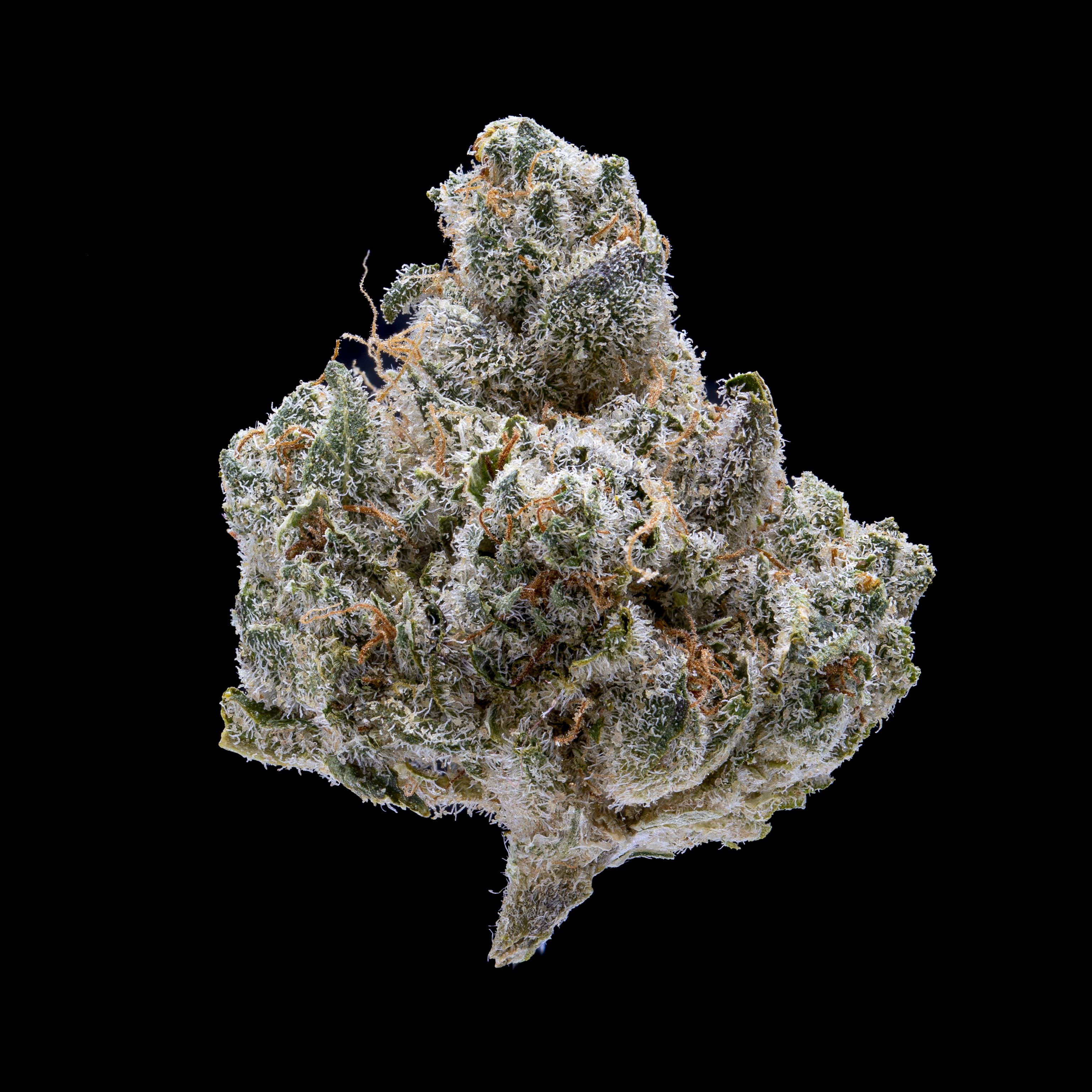 Jar Co. Clementine Kush