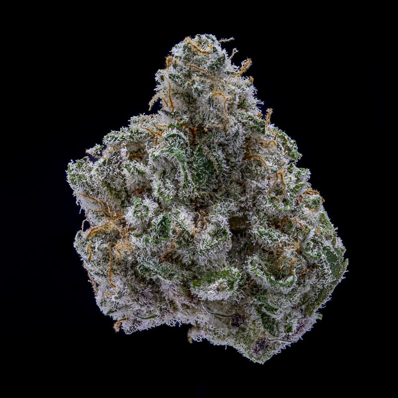 Jar Co. MAC 1