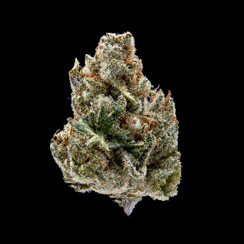 Jar Co. Motorbreath