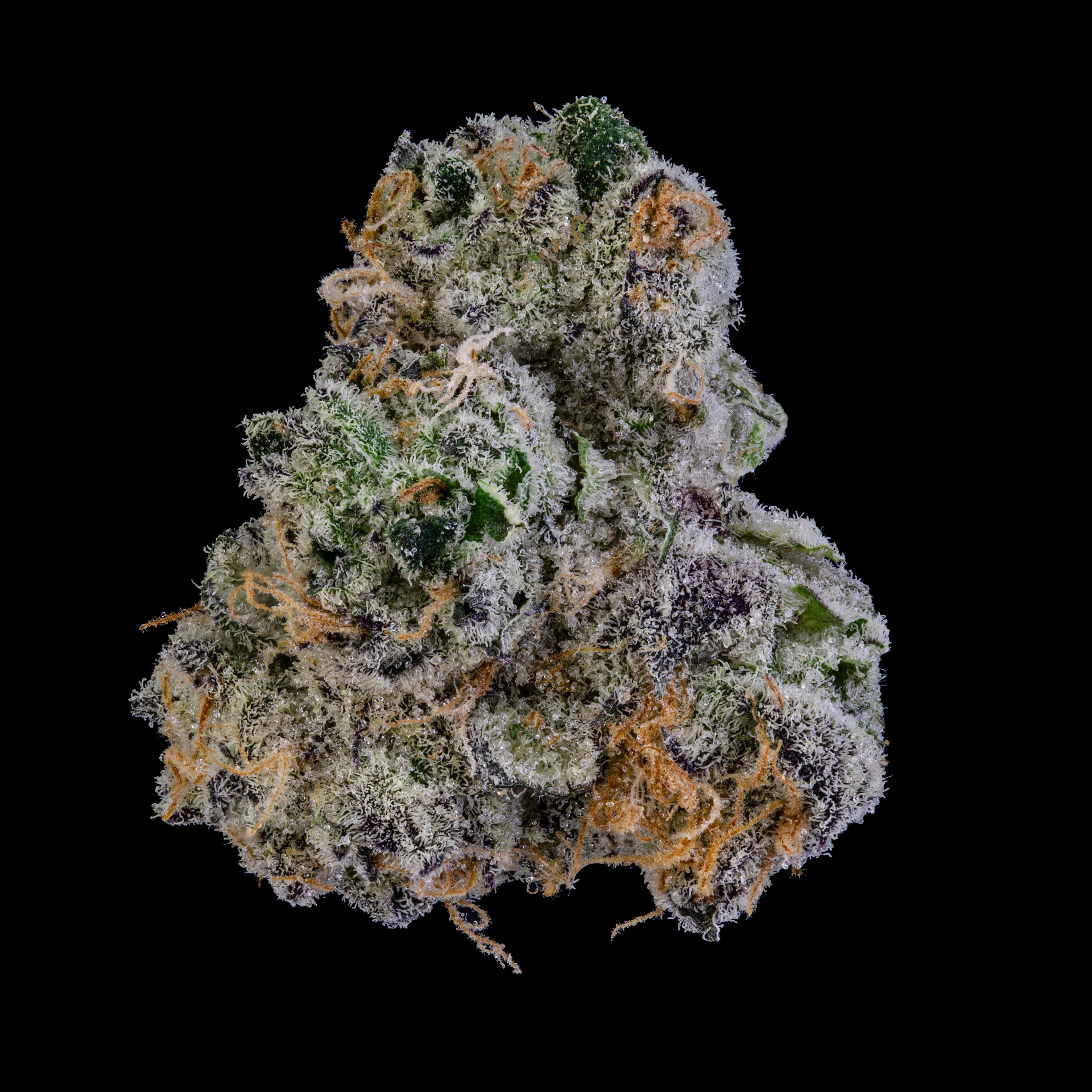 Jar Co. Mule Fuel