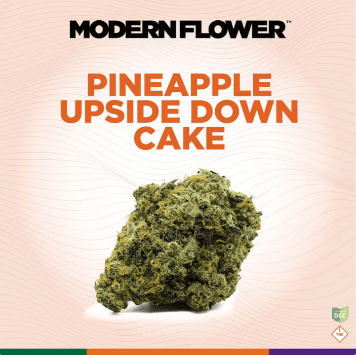 Modern Flower Modern Flower Pineapple Upside Down Cake (S) Flower 3.5g