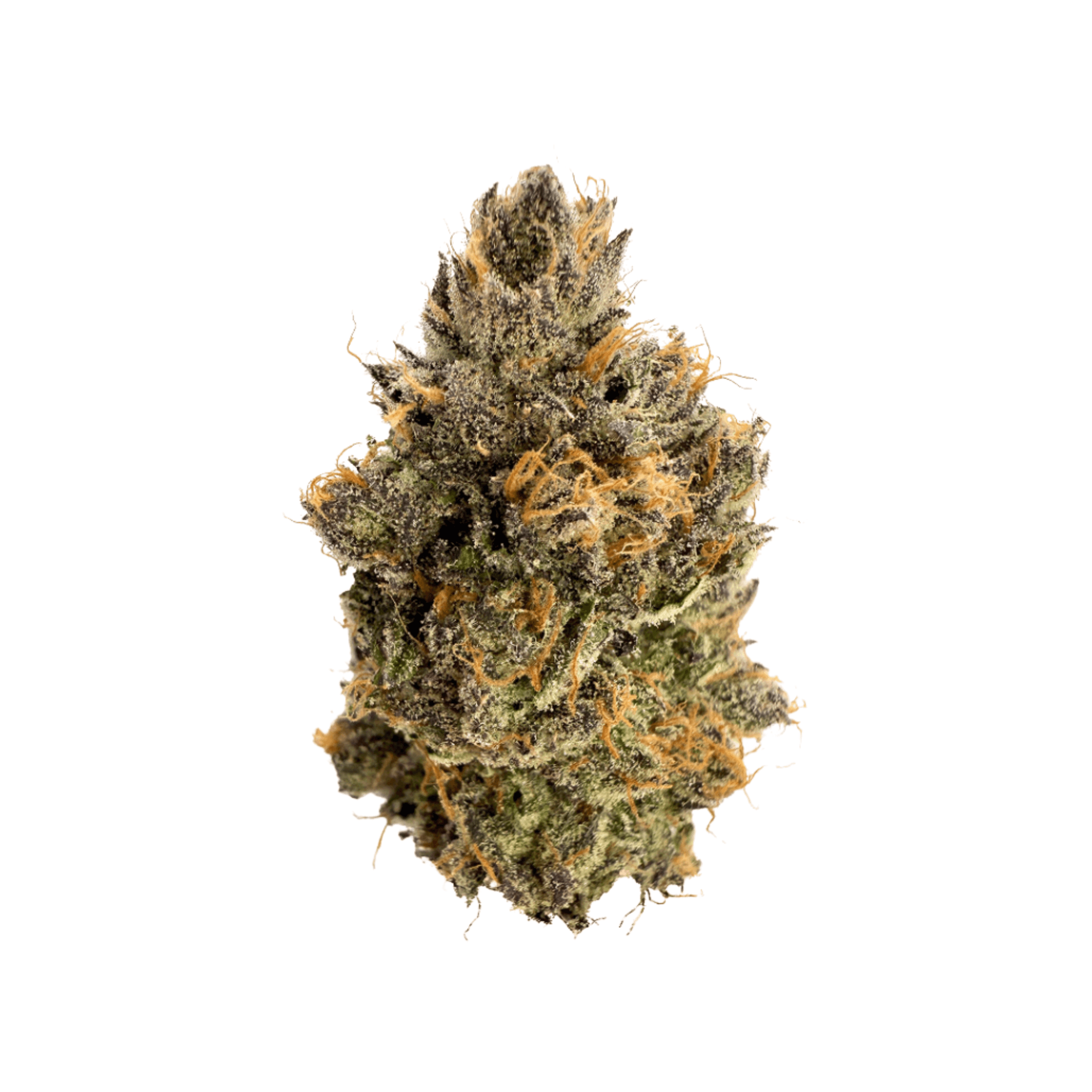 Rhize Cannabis Candied Oranges