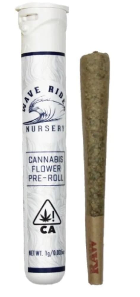 Wave Rider Pre-rolls