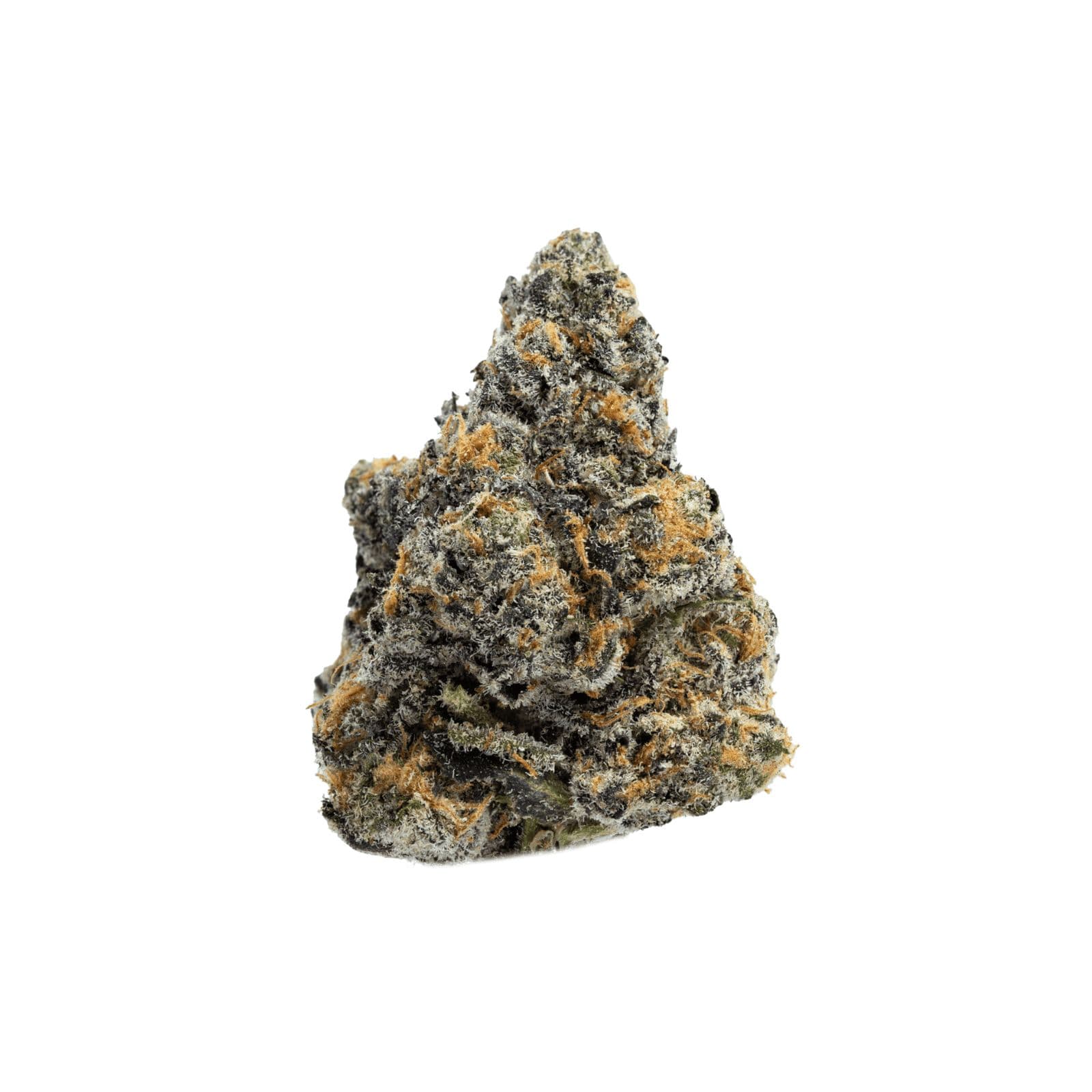 Silver Shelf Ghost Dawg (I)