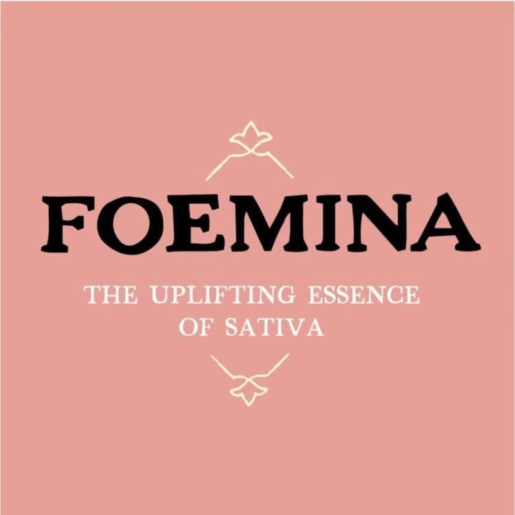 Foemina Foemina: Purple Tangie (S)