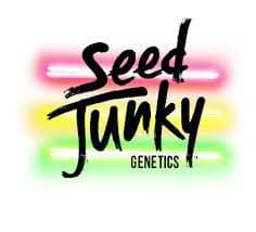 Seed Junky Red Eye Pre-Roll | 1g
