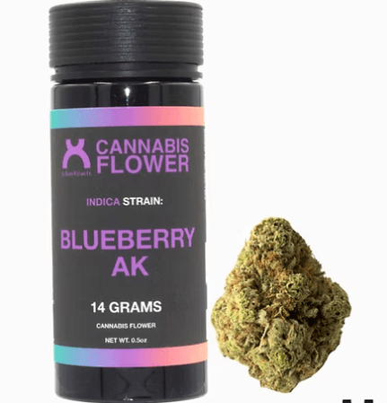 URBANXTRACTS Blueberry AK | Flower | 14g