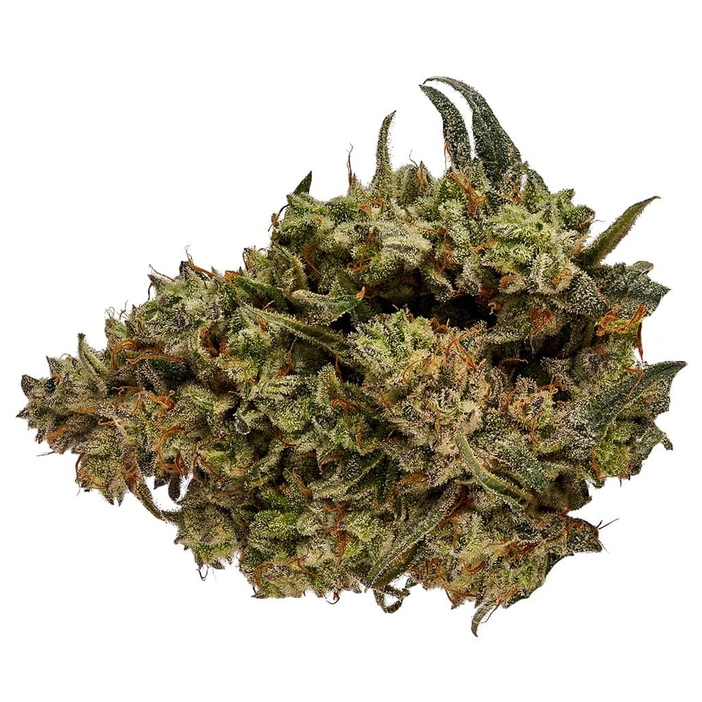 Orchid CBD CBD Runtz