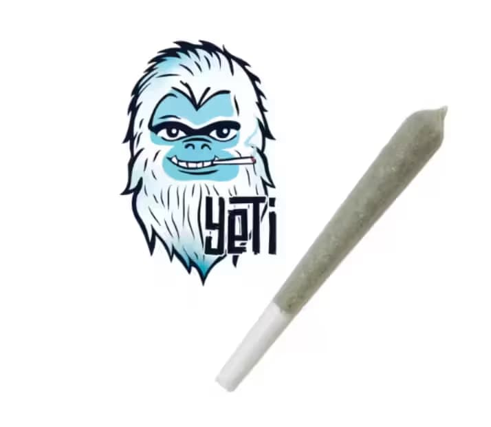 Yeti Sherb Cream Pie | 10 Pack