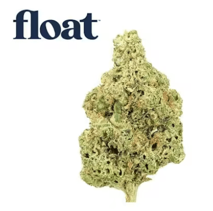 Float Top Gear (Indica) - Flower, 3.5g (1/8oz)