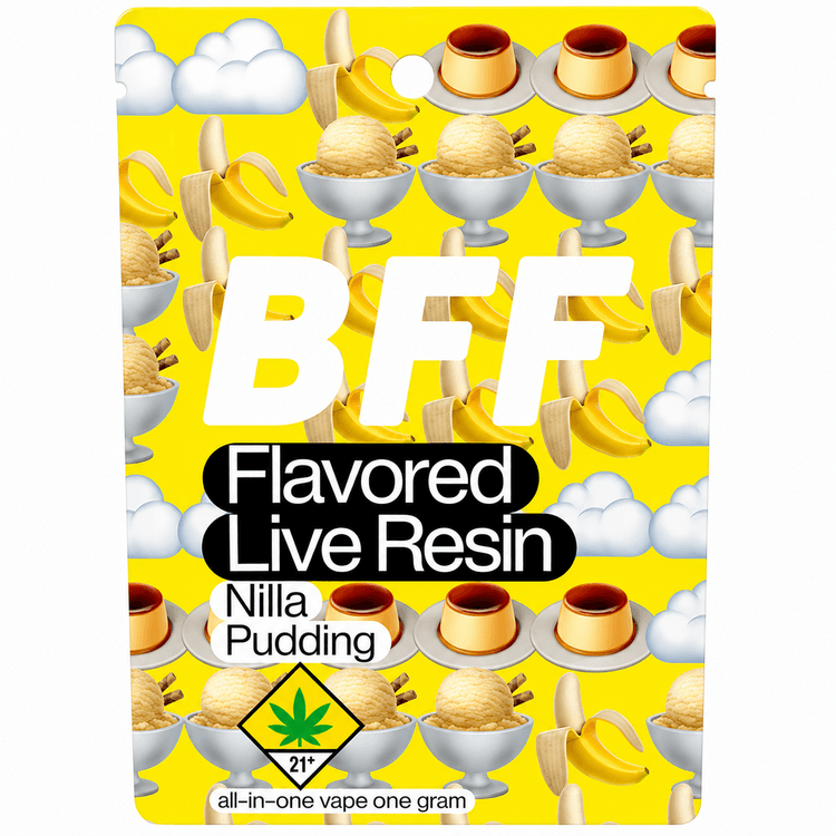 Buddies Buddies BFF All In One Nilla Pudding 1g