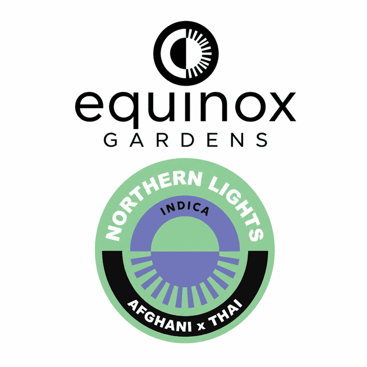 Equinox Equinox 28pk Northern Lights 14g
