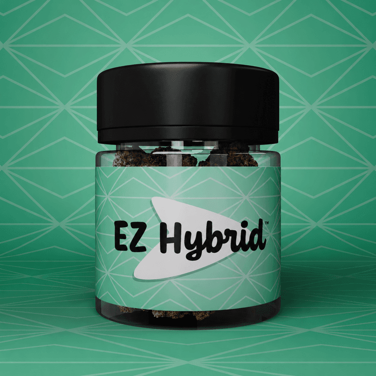 EZ Gelato