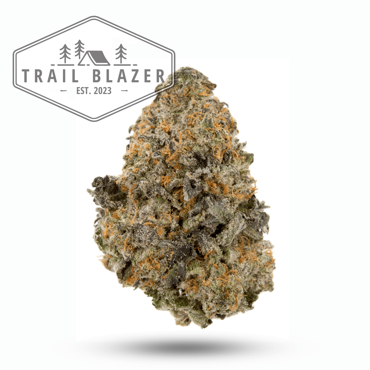 Trailblazer Slushy Runtz
