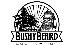 Bushy Beard Paradise Pine Pre-roll