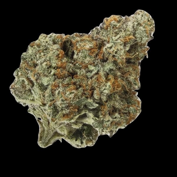 VORTEX Nana Glue Premium Flower
