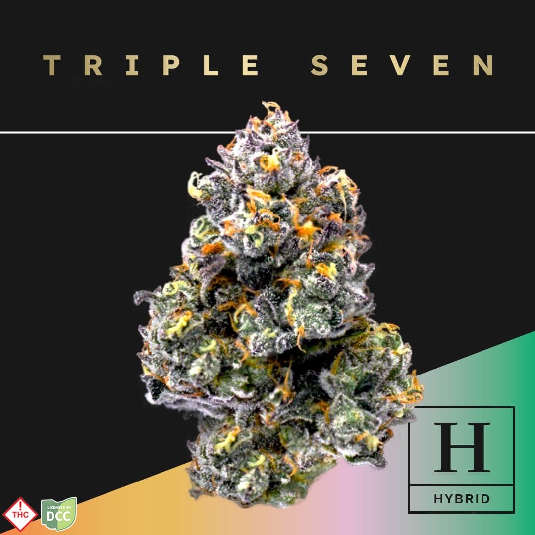 Triple Seven Modified Fruit [14.15g]