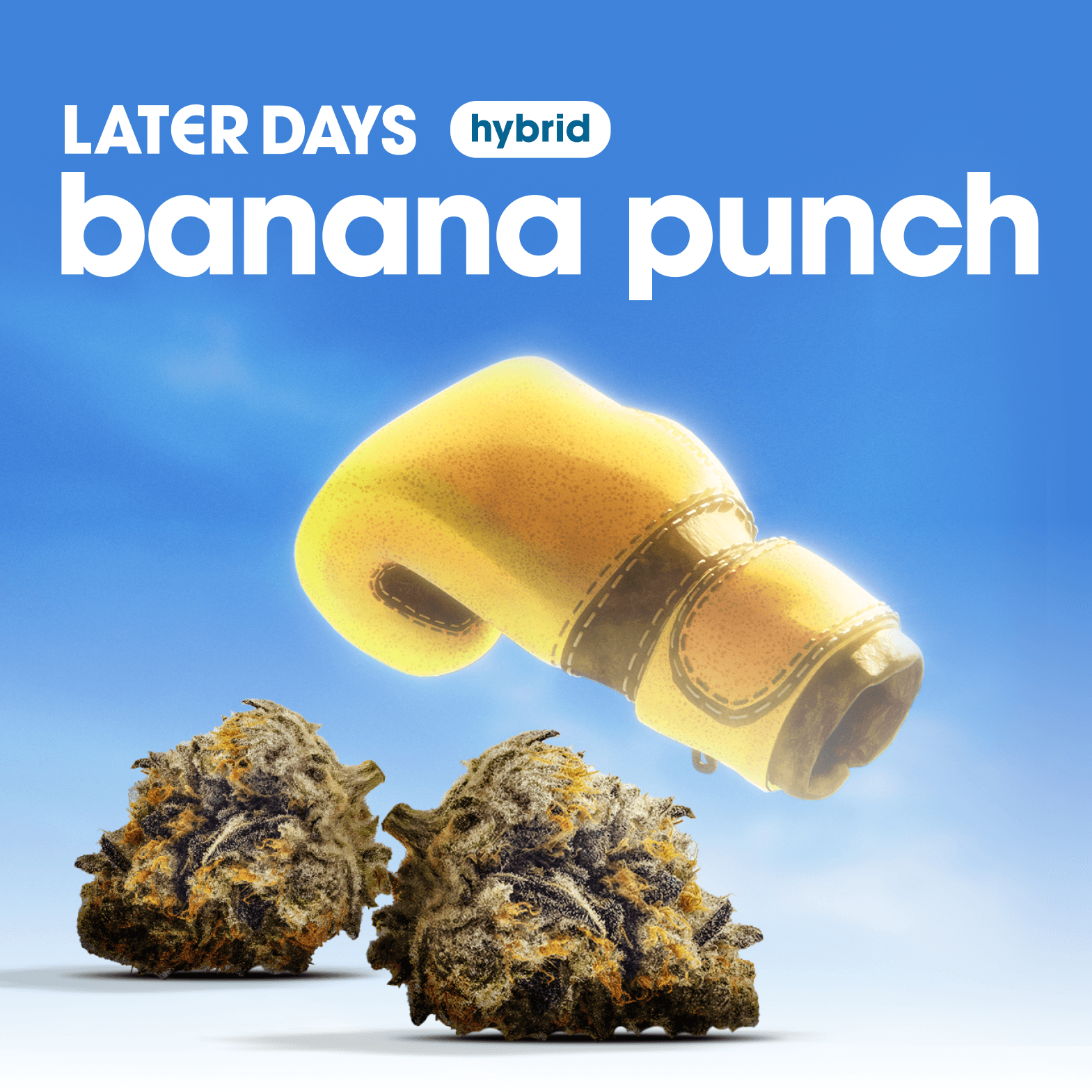 Later Days Banana Punch Flower