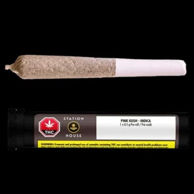 Station House Pink Kush | 1x0.5g