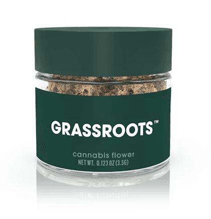 Grassroots Blue Lobster
