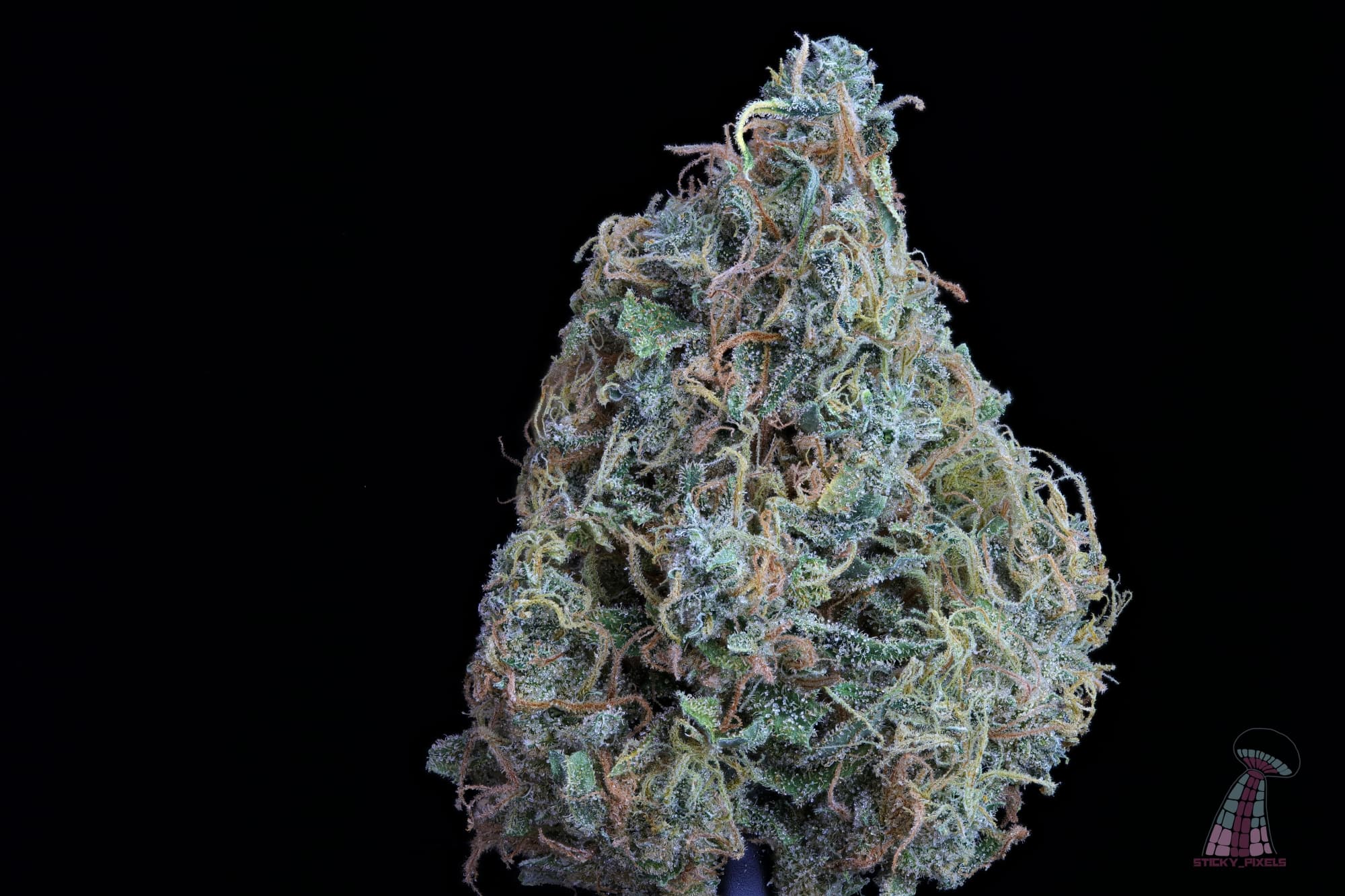 Kaya Cannabis