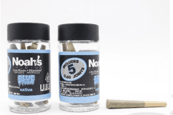 Noah's Premium