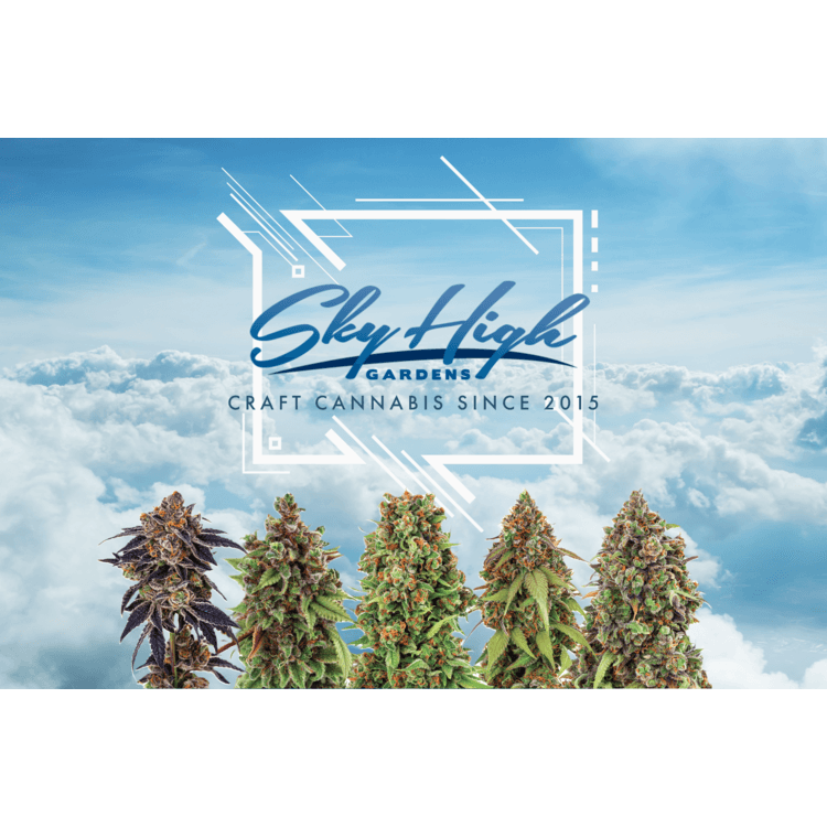 Sky High