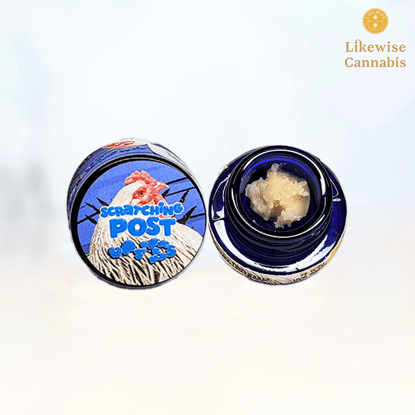Washers PAPAYA 1G LIVE ROSIN BATTER