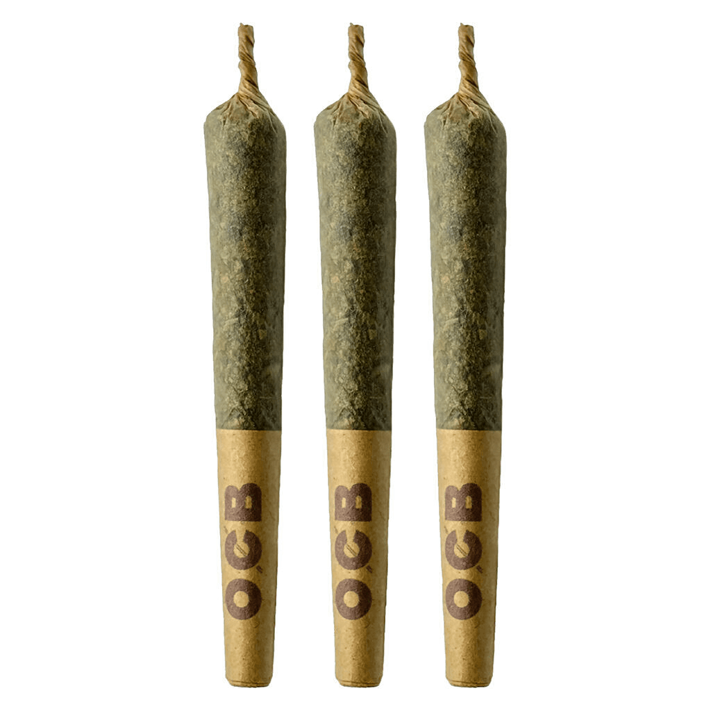 Coterie Coterie Grape Gotti 12 Prerolls 3x0.5g