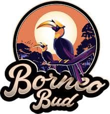 Borneo
