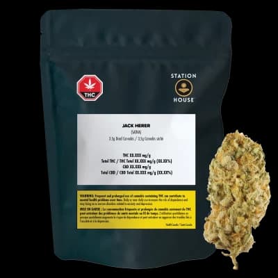 Station House Station House Jack Herer