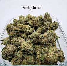 Sundae Co Sundae Co Sundae Brunch 14g Prepack