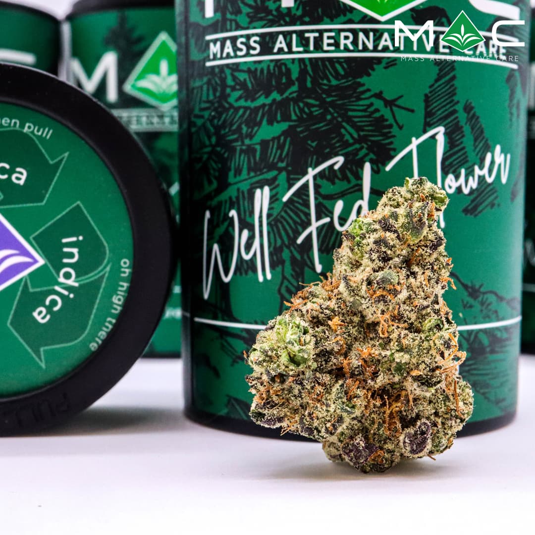 MAC FROSTY CLEOPATRA | 3.5G
