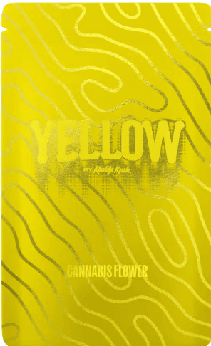 YELLOW *Point Breeze | Ground Flower