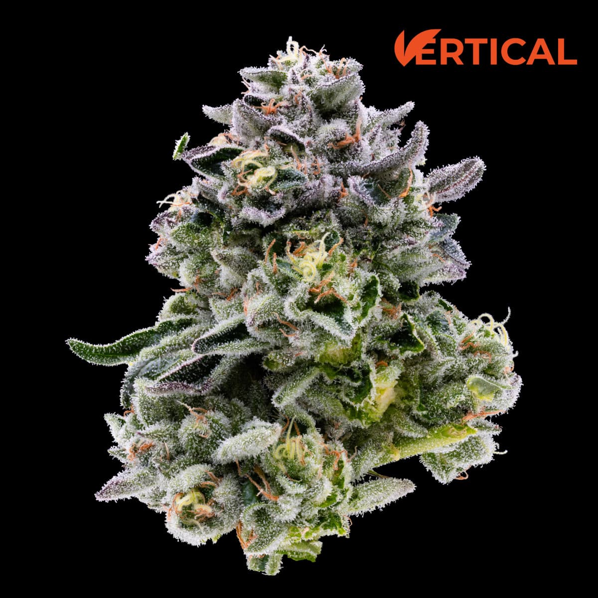 Vertical Cannabis