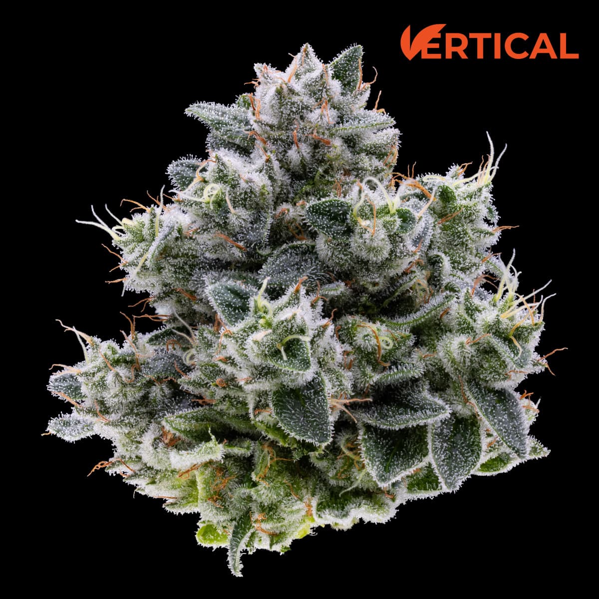 Vertical Cannabis