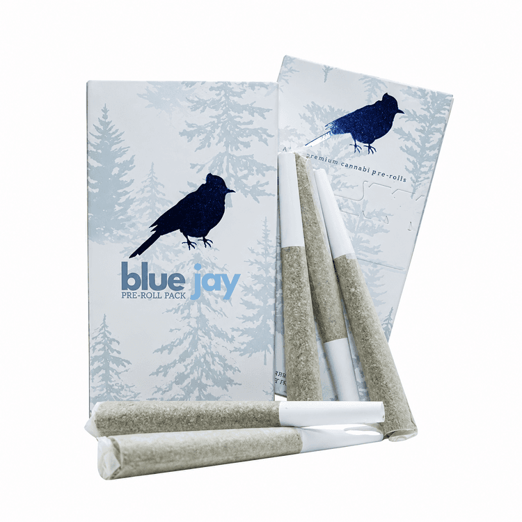 Blue Jay