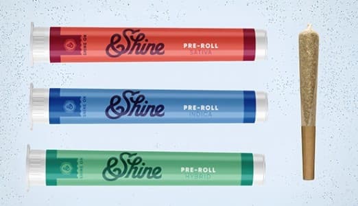 &Shine &Shine GovernMint Oasis Preroll 1G