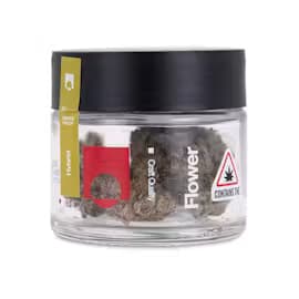 East Coast Cannabis Grape Lime Pie - 3.5g