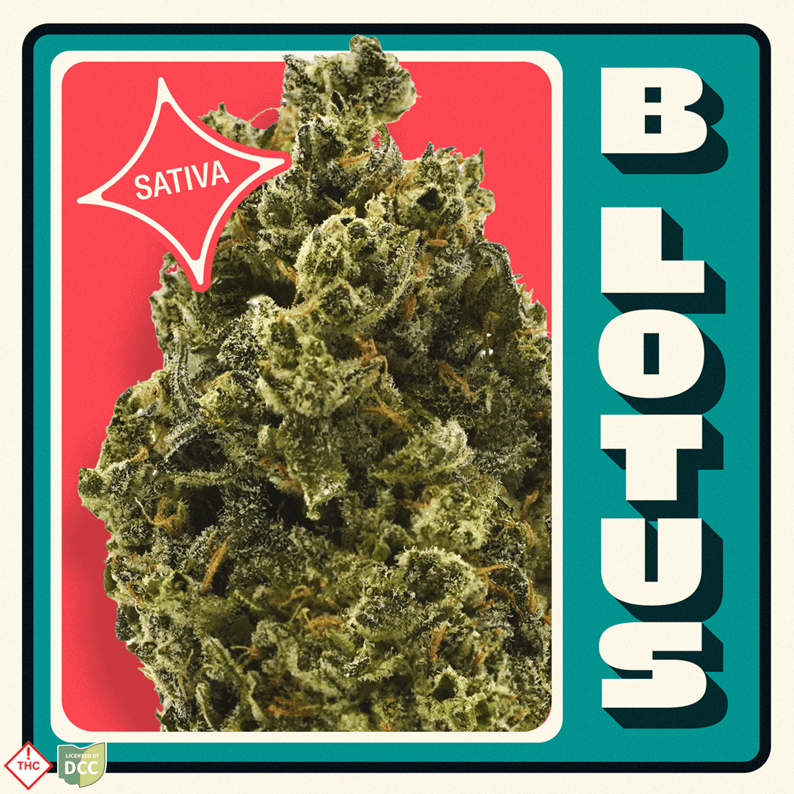 Neighborgoods B Lotus